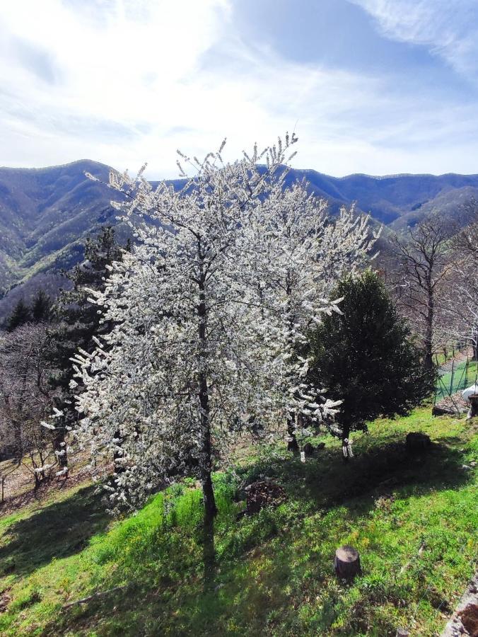 Ristorante La Selva Orsigna